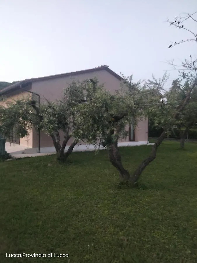 L Olivo Villa Lucca Holiday home