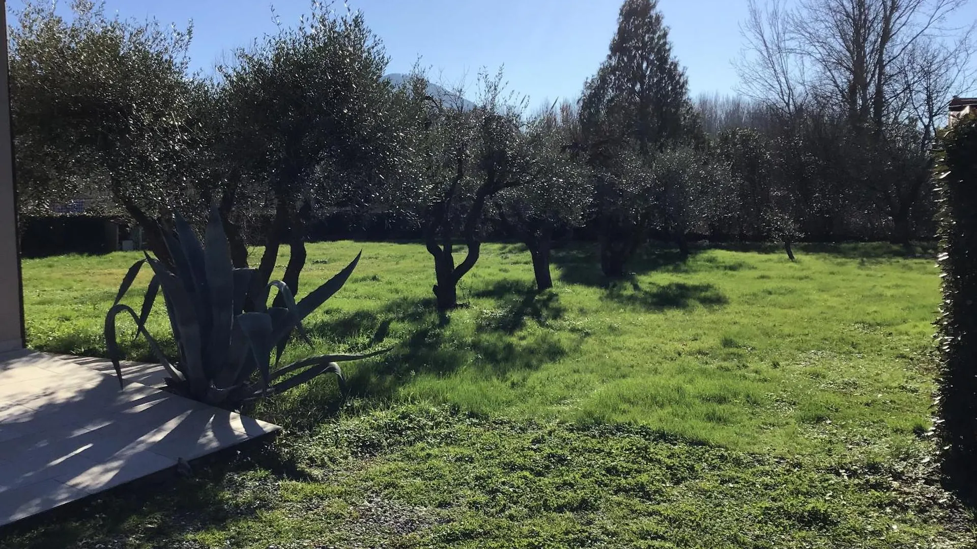 L Olivo Villa Lucca